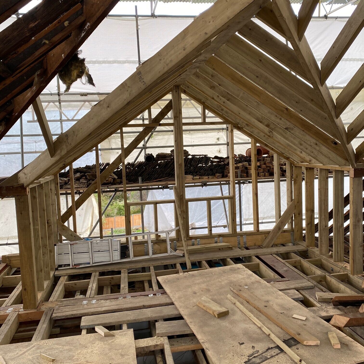 Image shows the roof rafters of a house undergoing and extension and loft conversion